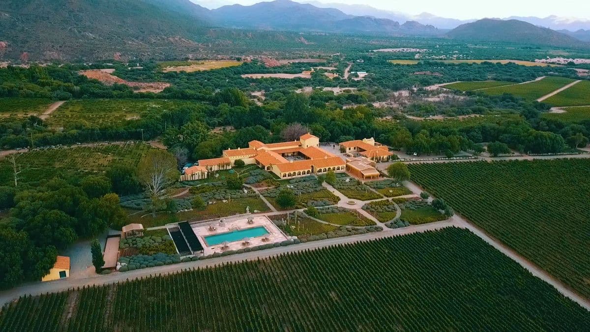 Aerial view of a Mendoza wine estate surrounded by vineyards beneath the Andes