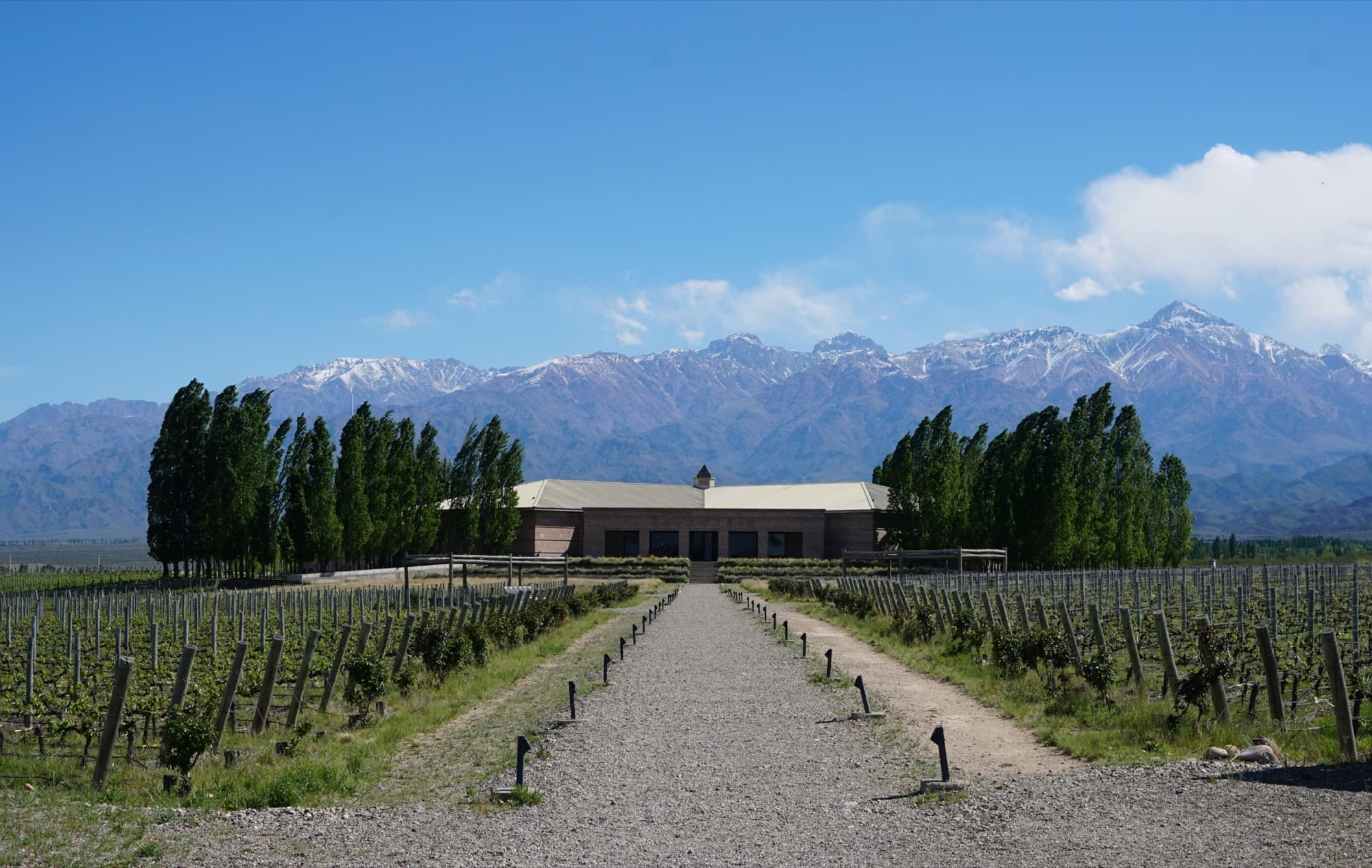 Vineyard rows leading toward a winery with the snow-capped Andes behind