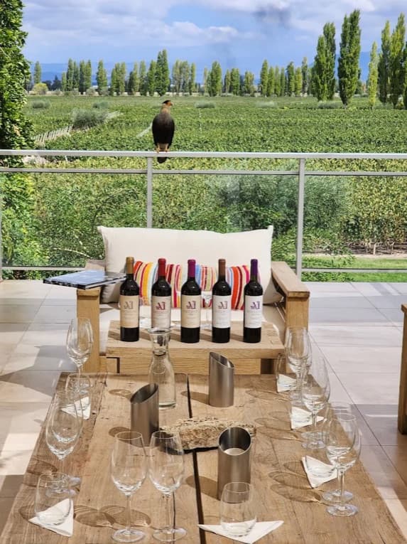 A private tasting on a winery terrace