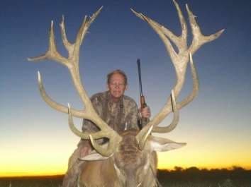 A red stag taken at last light