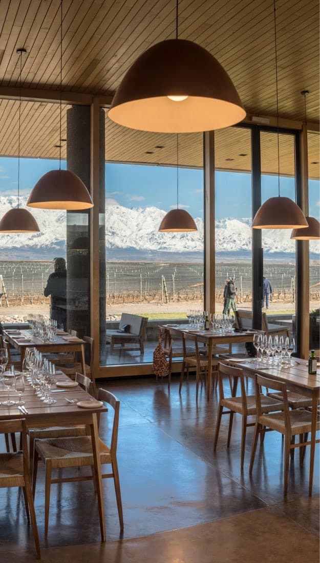 A modern winery set among vineyard rows with the Andes rising behind